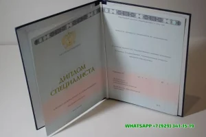 Купить диплом техника в Электростали